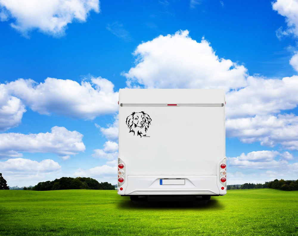 Markiesje Kopf Auto Wohnmobil Aufkleber