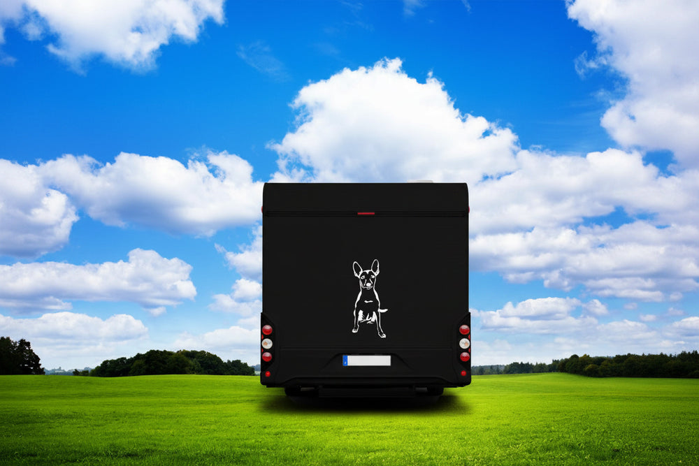 Mexikanischer Nackthund Xoloitzcuintle Wohnmobil Aufkleber