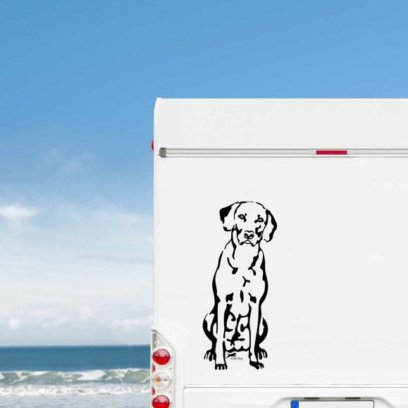 Schwarzer sitzender Rhodesian Ridgeback Aufkleber am weißen Wohnmobil-Heck vor Meereskulisse – wetterfestes Wandtattoo- und Autoaufkleber-Motiv von amberdog