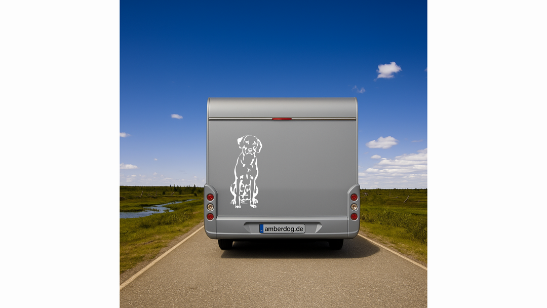 Rhodesian Ridgeback Auto Wohnmobil Aufkleber Weiß 