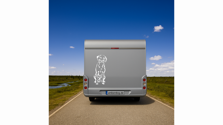 Rhodesian Ridgeback Auto Wohnmobil Aufkleber Weiß 