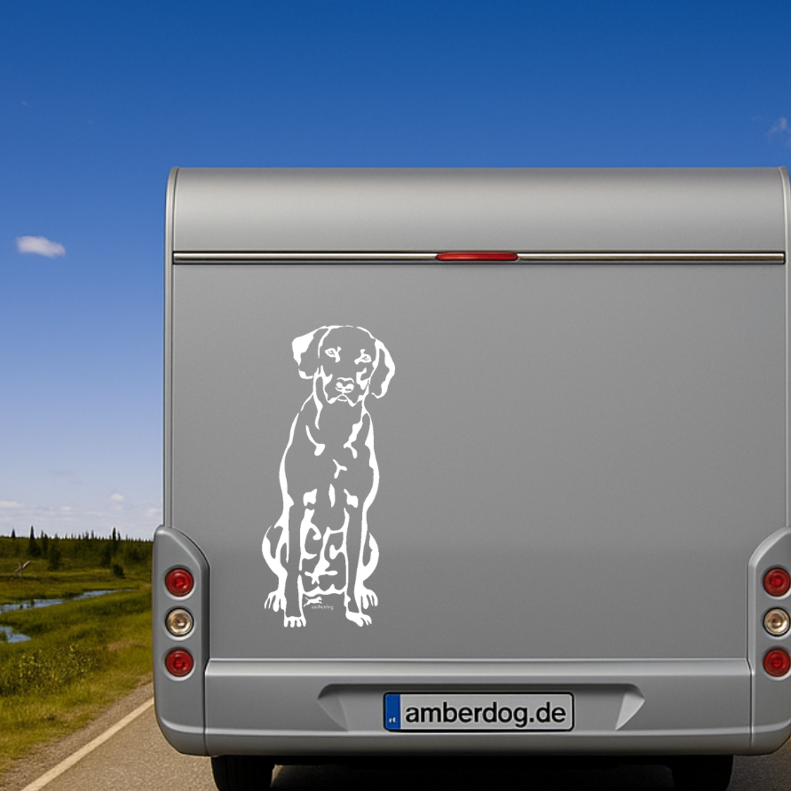 Weißer sitzender Rhodesian Ridgeback Aufkleber am silbernen Wohnmobil-Heck – wetterfestes Wandtattoo- und Autoaufkleber-Motiv von amberdog
