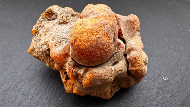 Baltischer Naturbernstein 48,4g Art.2142