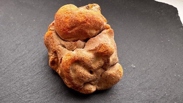 Baltischer Naturbernstein 48,4g Art.2142