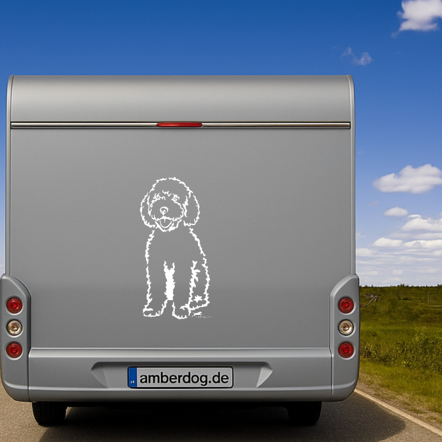 Spanischer Wasserhund Aufkleber in Weiss am silbernen Wohnmobil-Heck – wetterfestes Wandtattoo- und Autoaufkleber-Ganzkörpermotiv von amberdog