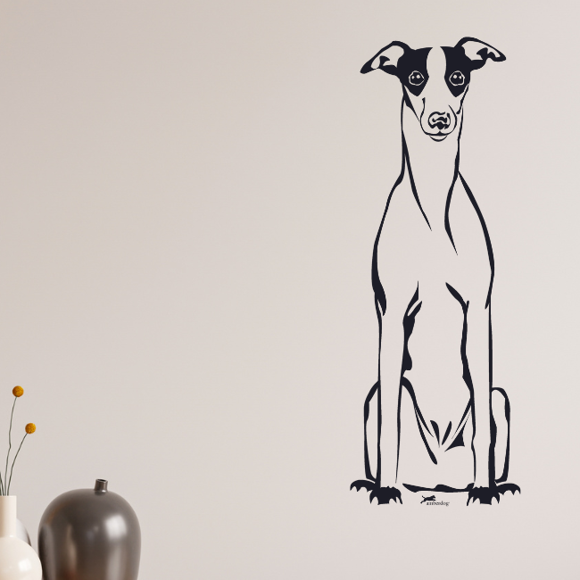 Whippet Windhund Auto Wohnmobil Aufkleber  I Wandtattoo