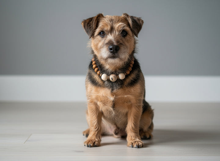 Kette Woody für Hunde mit Holzperlen