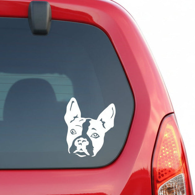 Boston Terrier Kopf Aufkleber weiss am Auto - Hund Autoaufkleber amberdog
