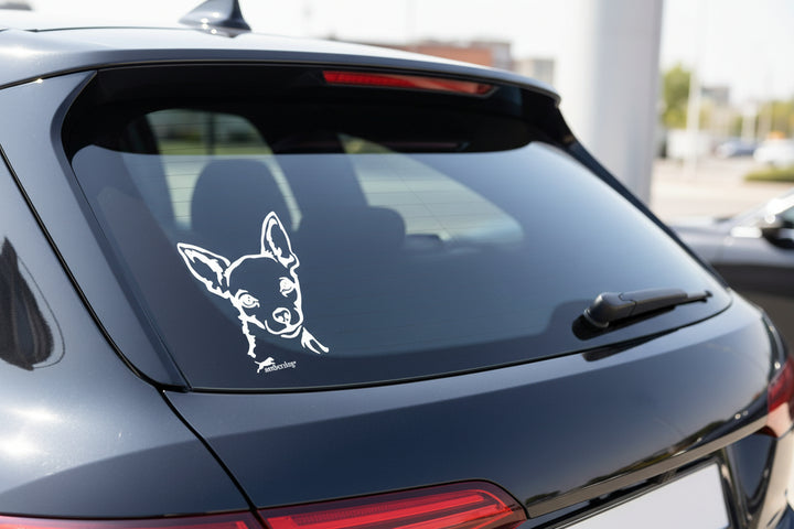 chihuahua Aufkleber in weiß für Auto