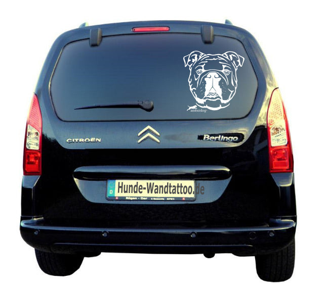 Englische Bulldogge Kopf Autoaufkleber