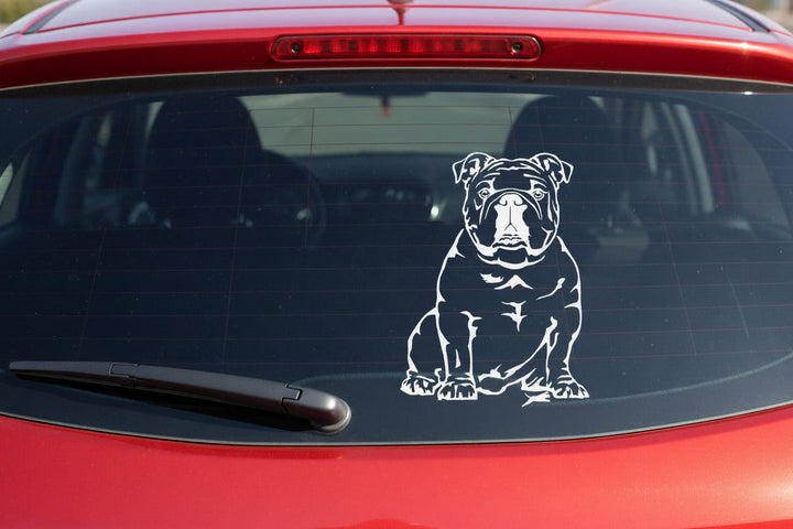 Weißer Englische Bulldogge Ganzkörper Aufkleber auf der Heckscheibe eines roten Autos, sitzender Bulldogge als Silhouette