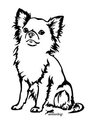 Chihuahua Langhaar Grafiklizenz
