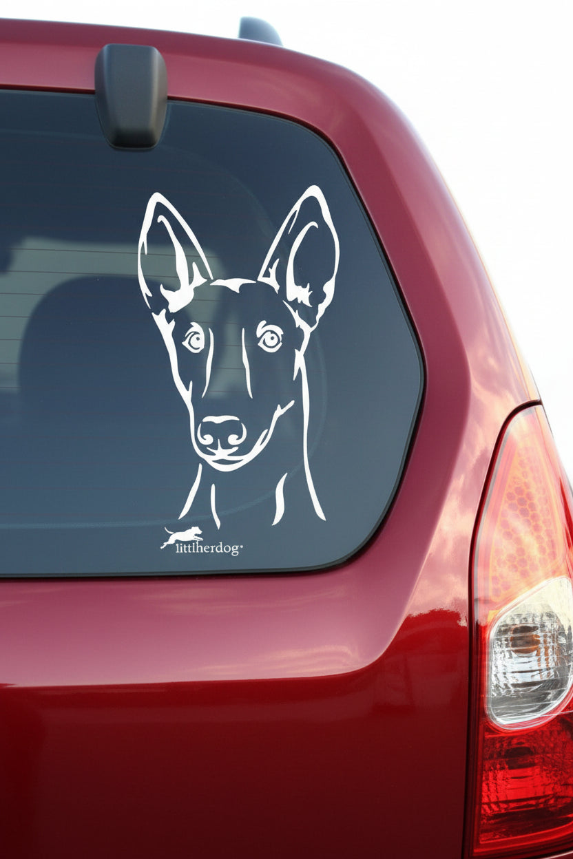 Podenco Kopf Aufkleber in Weiß auf der Heckscheibe eines roten Autos – wetterfestes Wandtattoo- und Autoaufkleber-Motiv von amberdog