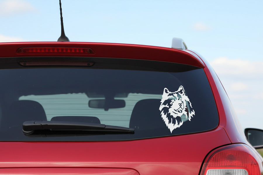 Weißer Wolfsspitz Kopf Aufkleber an der Heckscheibe eines roten Autos, wetterfestes Autoaufkleber-Motiv von amberdog